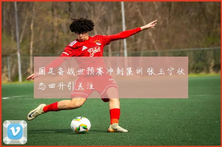 国足备战世预赛冲刺集训 张玉宁状态回升引关注