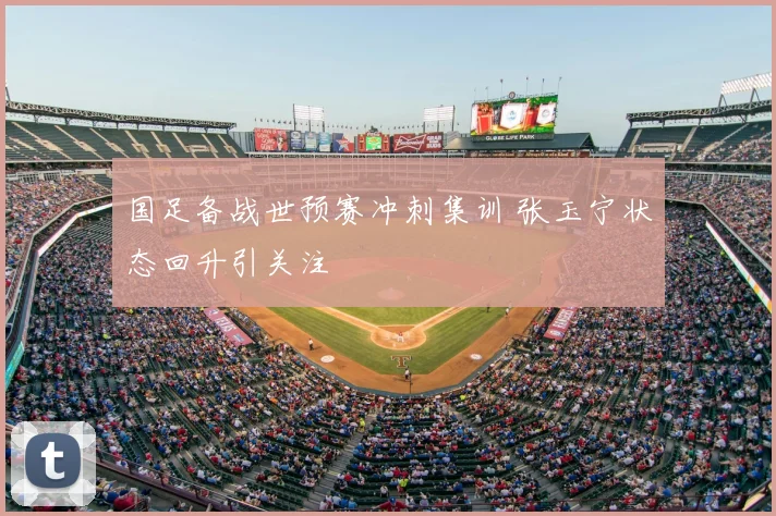 国足备战世预赛冲刺集训 张玉宁状态回升引关注