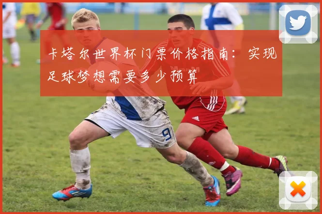 卡塔尔世界杯门票价格指南：实现足球梦想需要多少预算