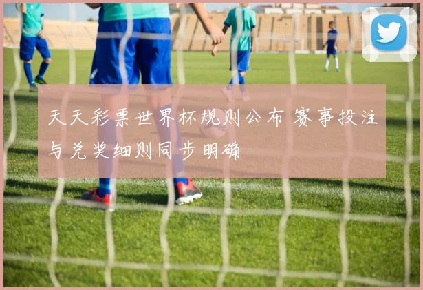 天天彩票世界杯规则公布 赛事投注与兑奖细则同步明确