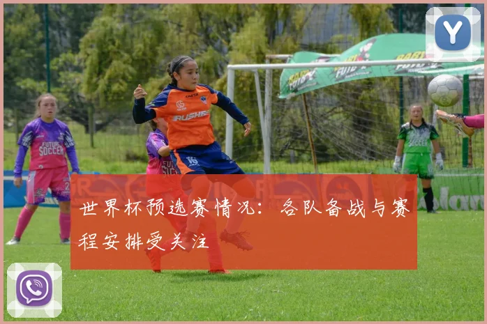 世界杯预选赛情况:各队备战与赛程安排受关注