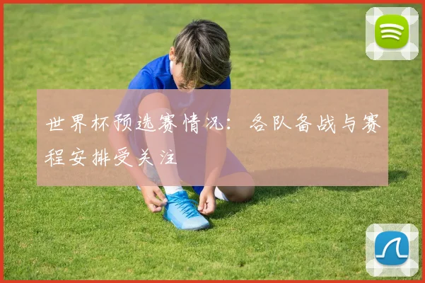 世界杯预选赛情况：各队备战与赛程安排受关注
